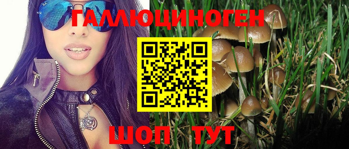 Галлюциногенные грибы Psilocybe Алапаевск